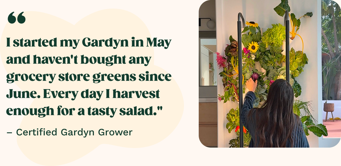 "I started my Gardyn in May and haven't bought any grocery store greens since June. Every day I harvest enough for a tasty salad."