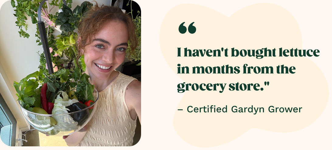 "I haven't bought lettuce in months from the grocery store."
