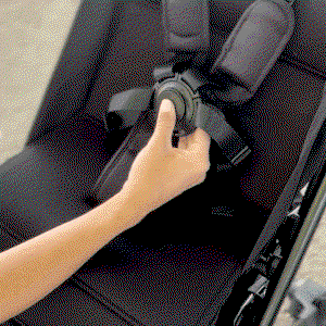 one-click 5-point harness