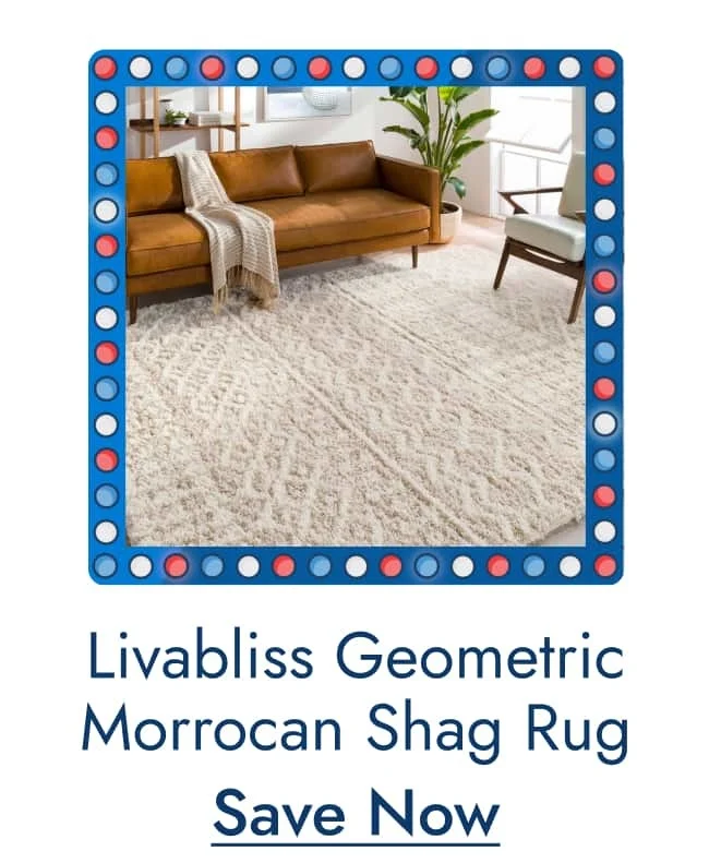 Shop Livabliss Newton Geometric Moroccan Trellis Shag Rug