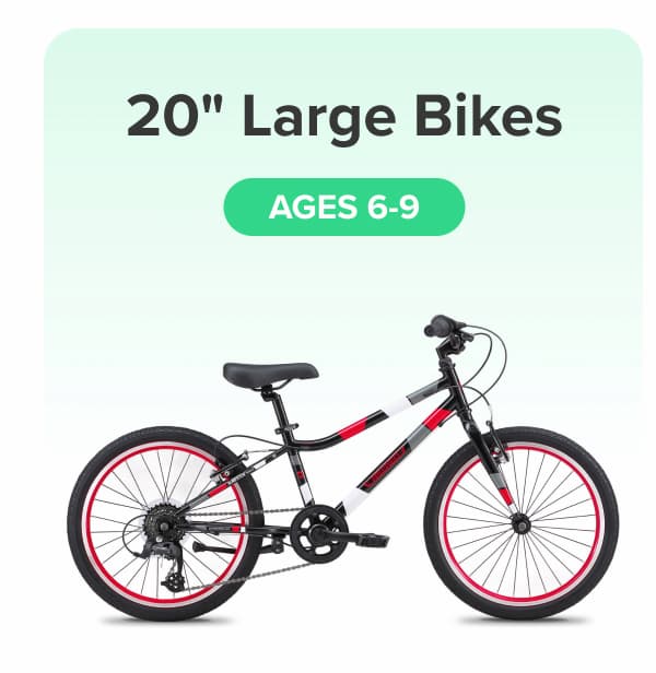 20" Large Bikes