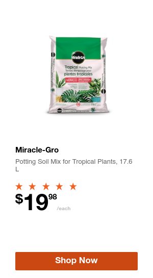 Shop Now Product 4