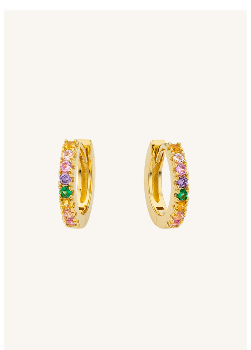 EARRINGS - RAINBOW DELHI