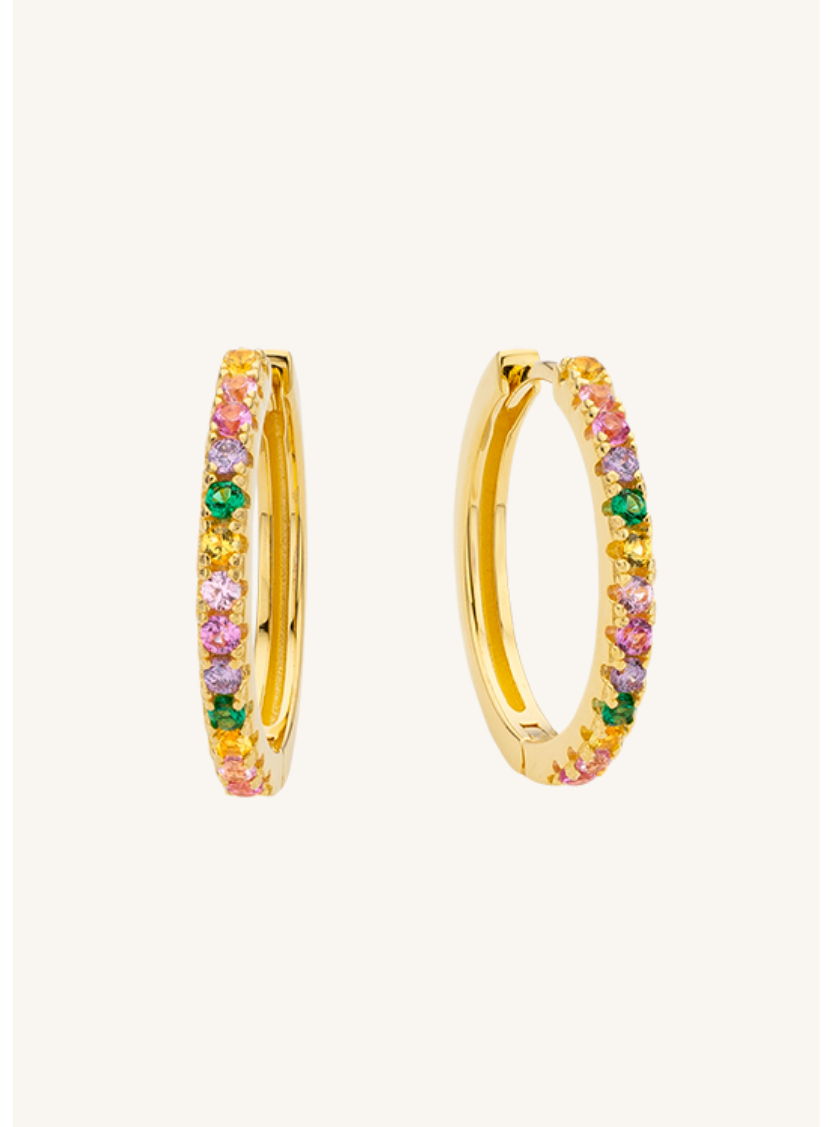 EARRINGS - RAINBOW LOVELY DELHI