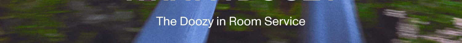 WHAT A DOOZY - The Doozy in Room Service