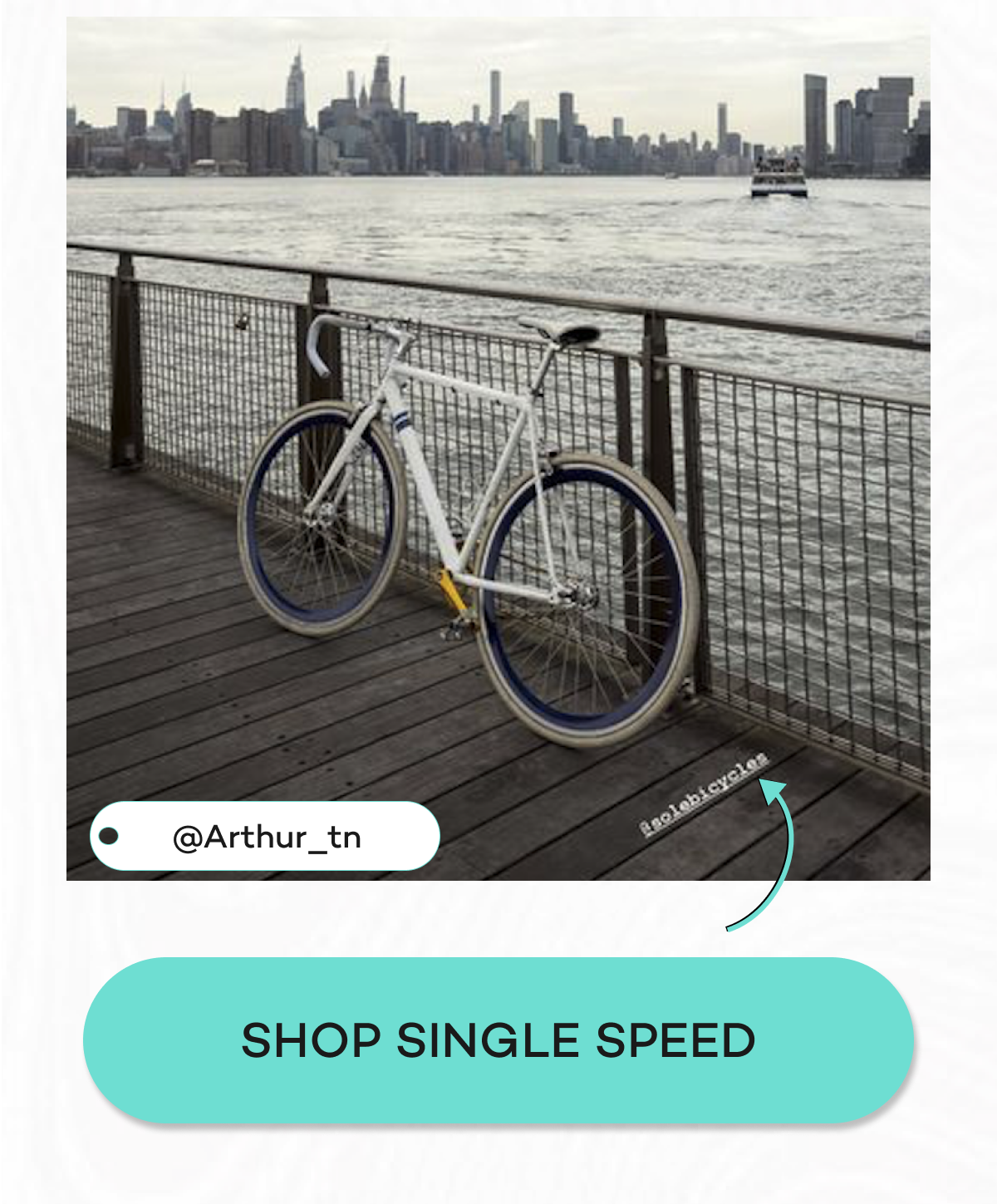 Shop Single Speed