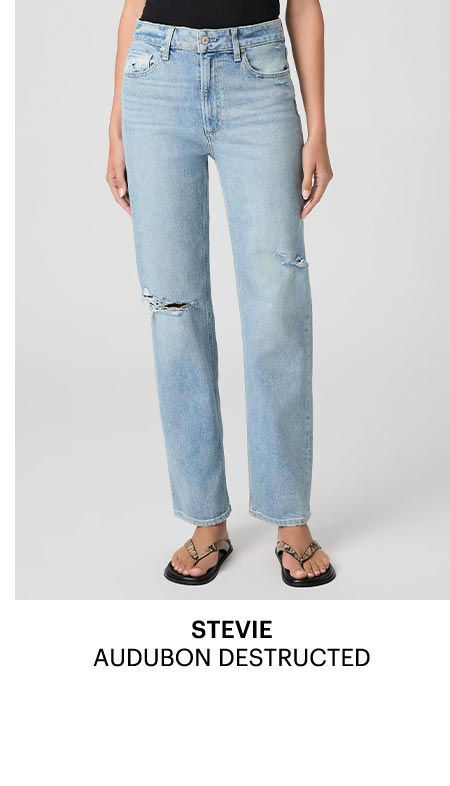 Stevie 31" Straight Jean in Audubon Destructed.
