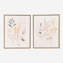 Botanical Beauty Wall Art Two Pack 
