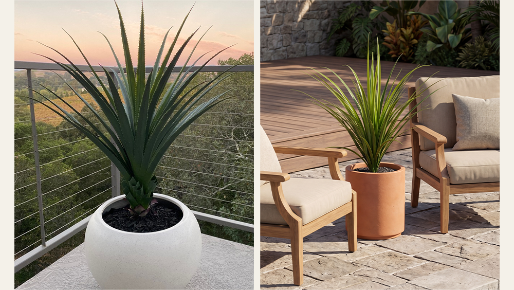 Summer Savings are Blooming