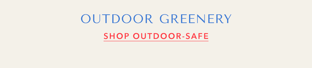 Outdoor Greenery