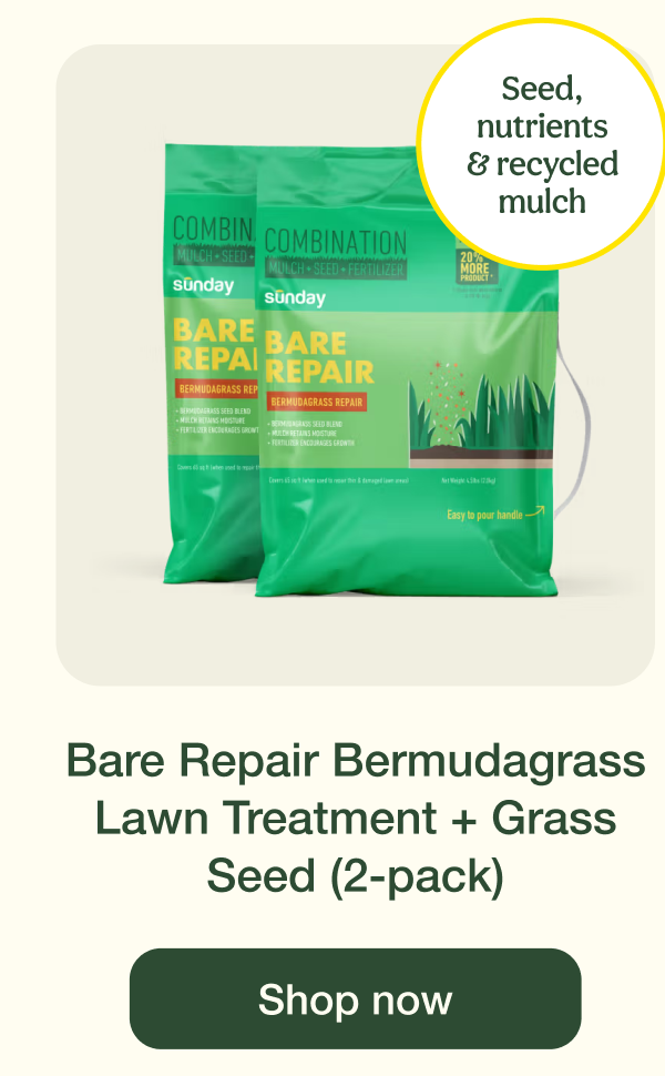 Bare Repair Bermudagrass Lawn Treatment + Grass Seed (2-pack) | Shop now
