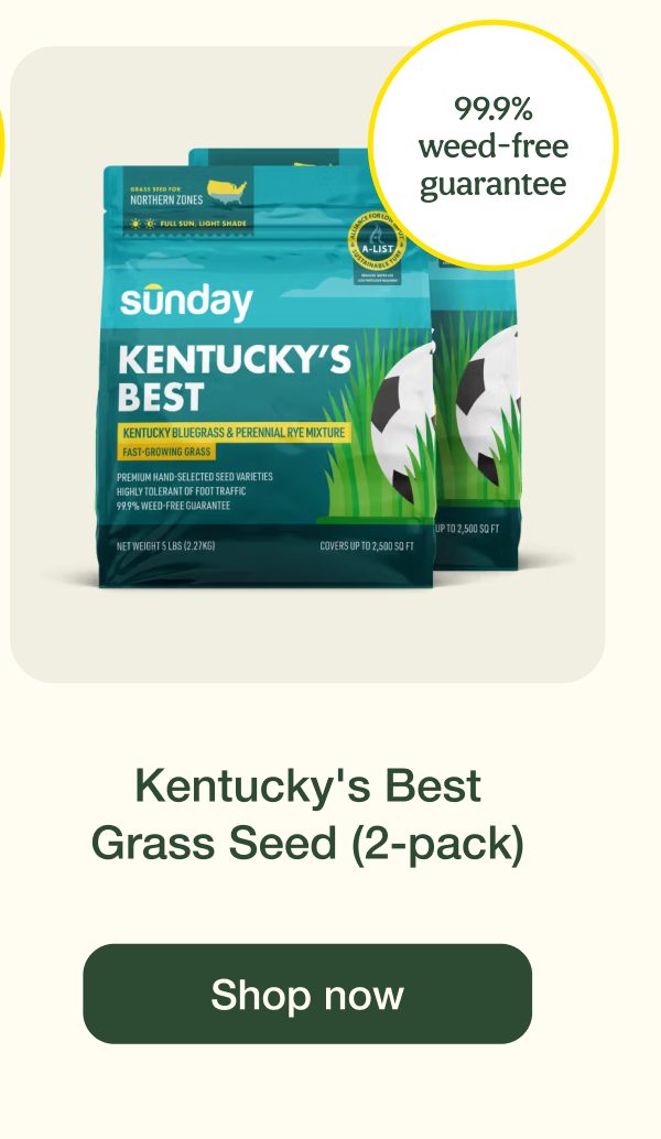 Kentucky's Best Grass Seed (2-pack) | Shop now
