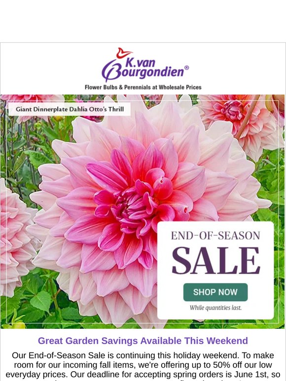 End-of-Season Sale Continues – Save up to 50%