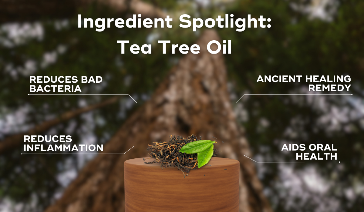 Ingredient Spotlight: Tea Tree Oil