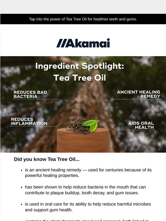 Ingredient Spotlight: Tea Tree Oil 🌱
