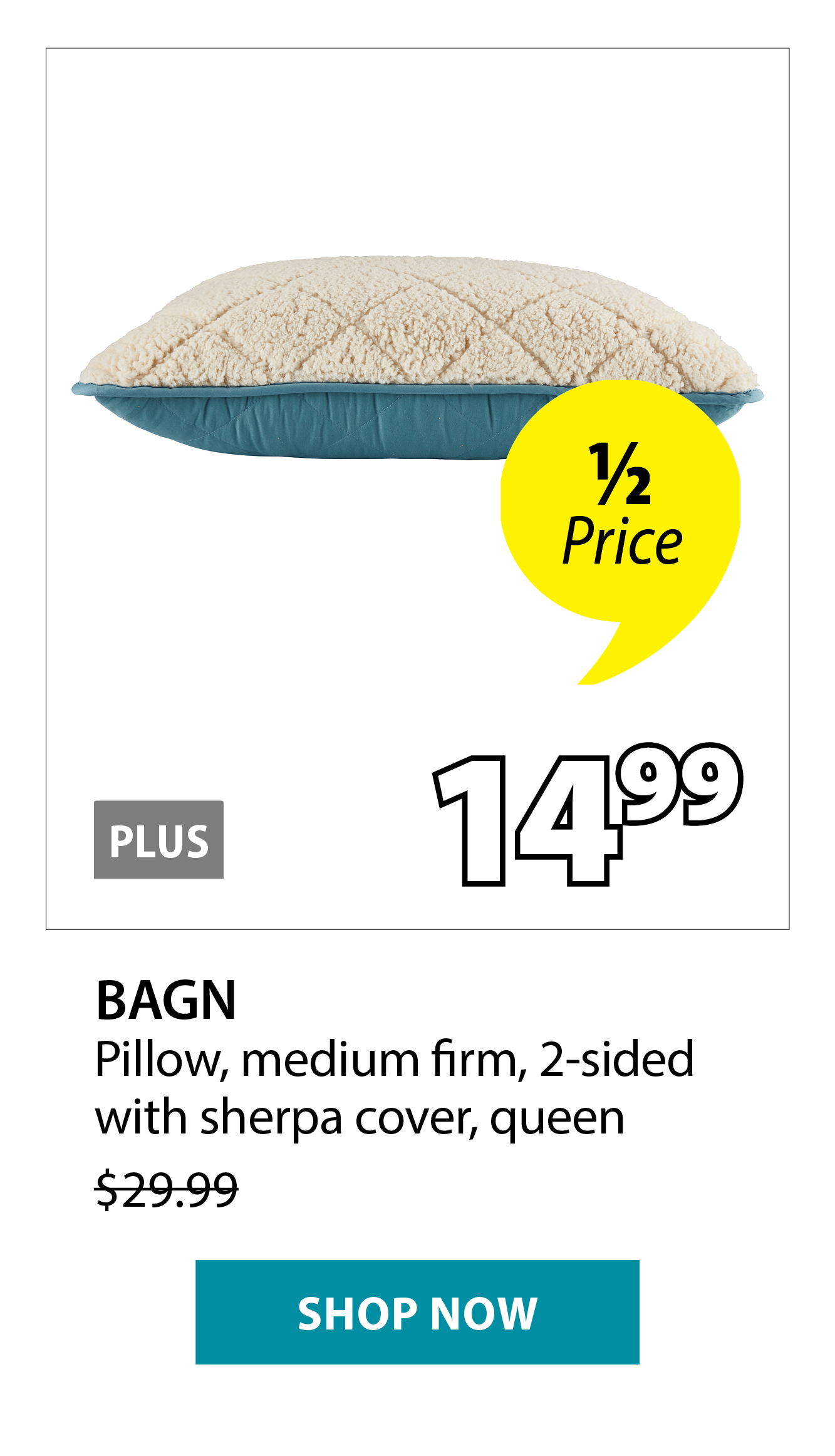 BAGN Pillow | 1/2 Price