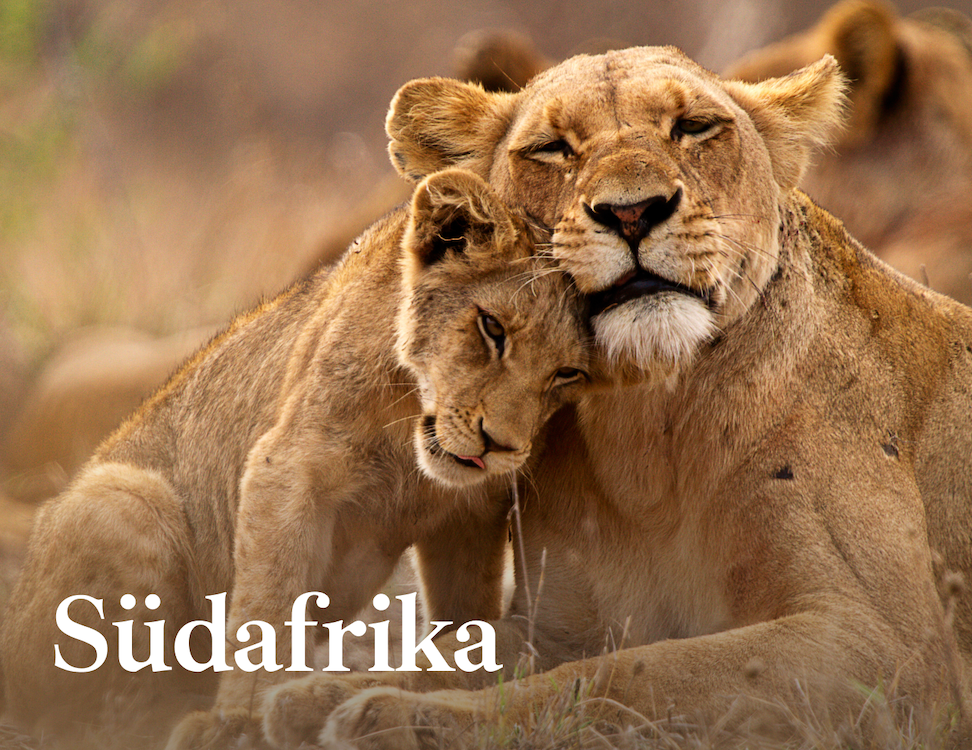 Südafrika