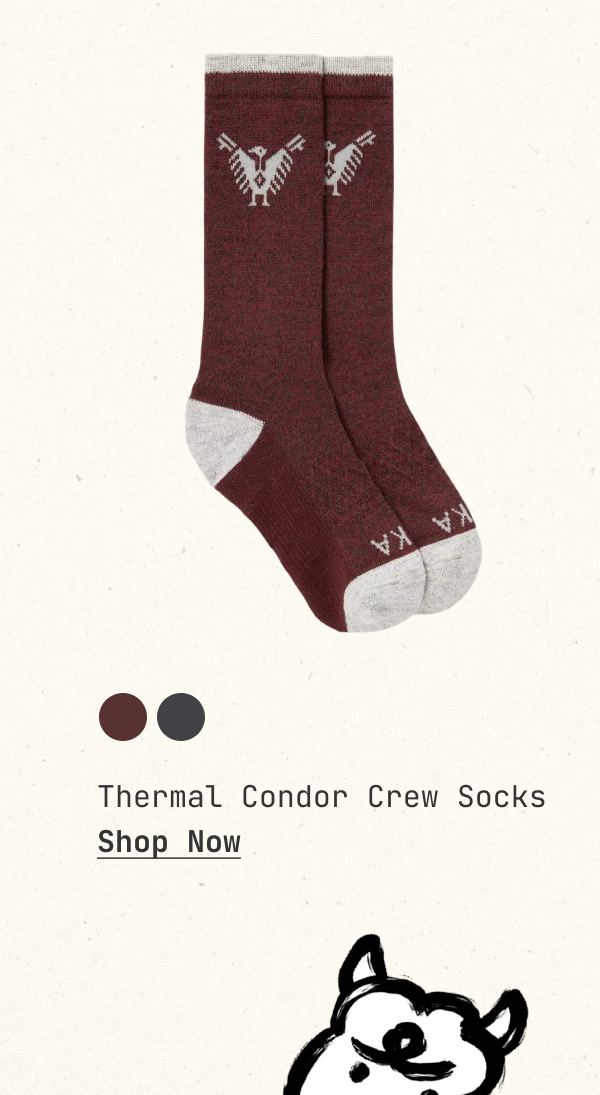 Thermal Condor Crew Socks