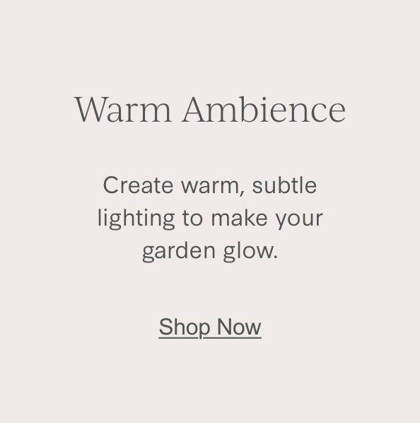Warm Ambience