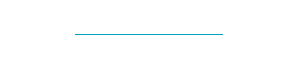 A blue divider bar. 