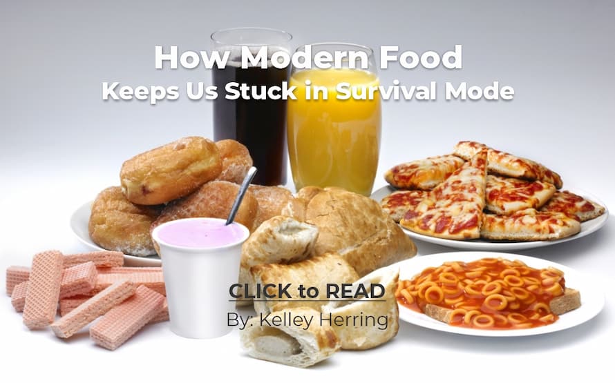 Kelley Herring, modern food, survival mode