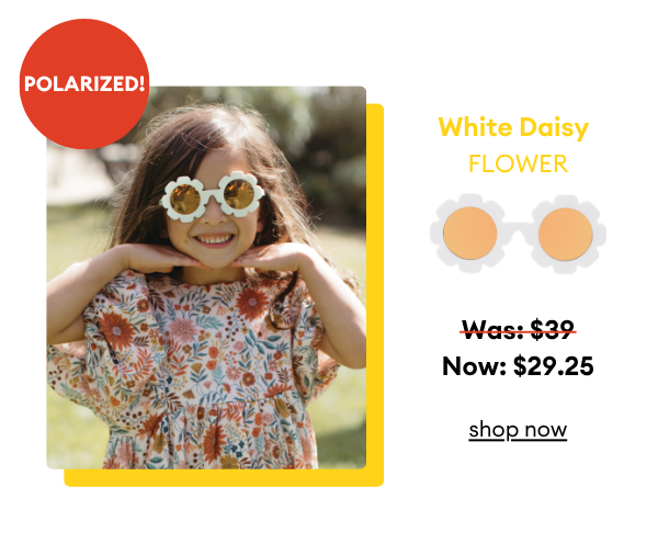 White Daisy Flower
