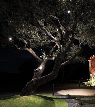 LANDSCAPE ACCENT LIGHT SALE
