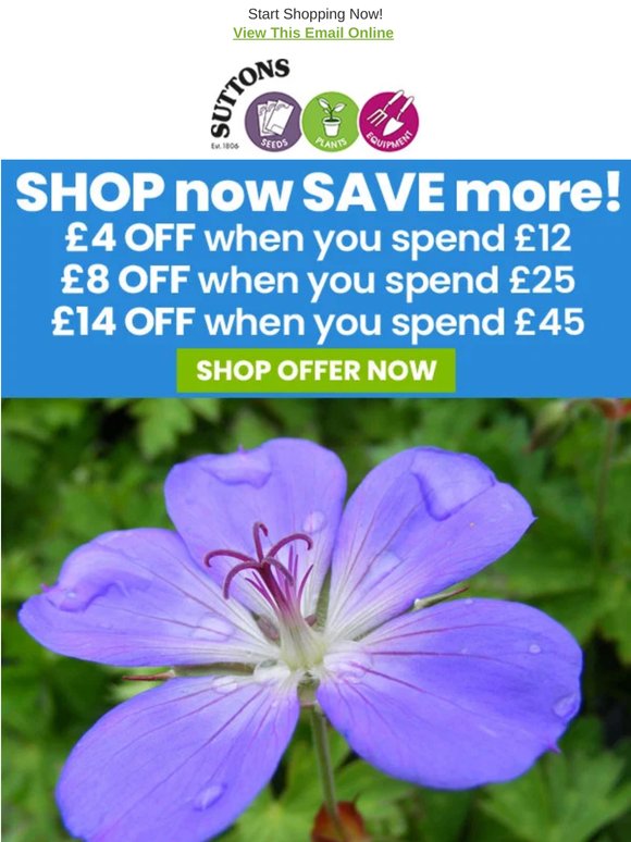 £14 OFF your order! 48 HOURS TO GO!