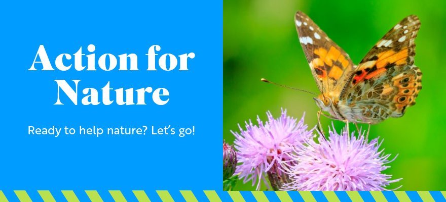 RSPB Action For Nature email