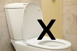Get rid of your toilet seat for this much prettier option