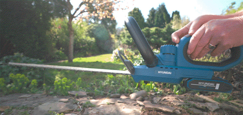 June Gardening Jobs