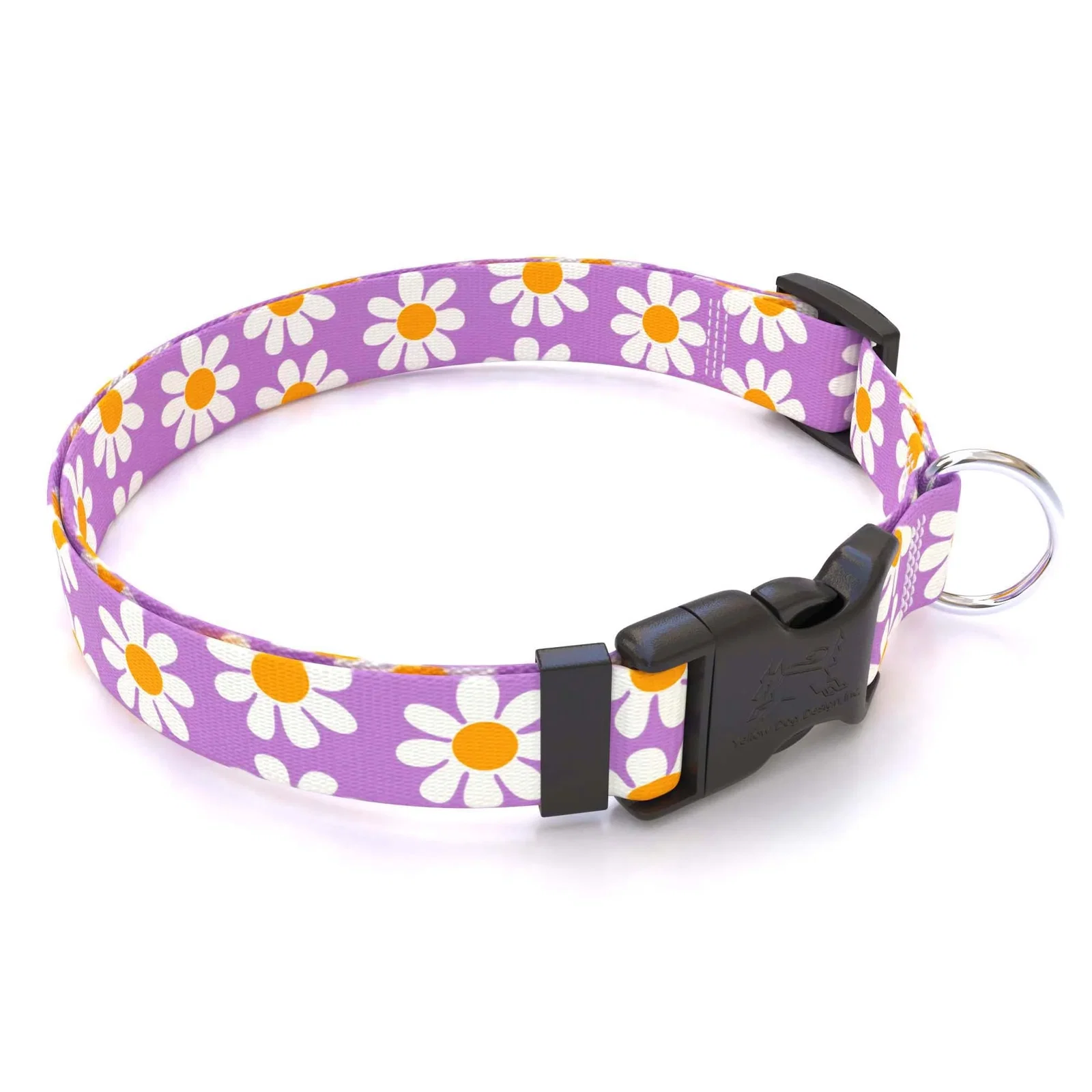 Image of Personalized Lavender Daisy Dog Collar