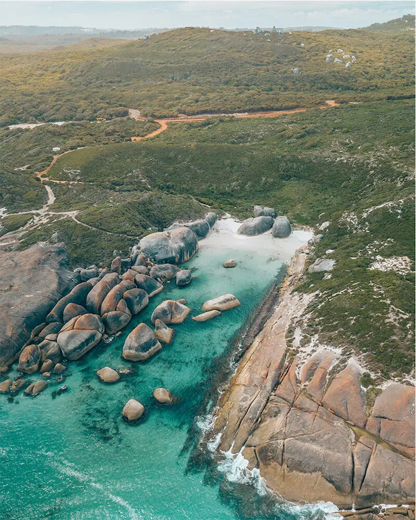 kakadu plum 