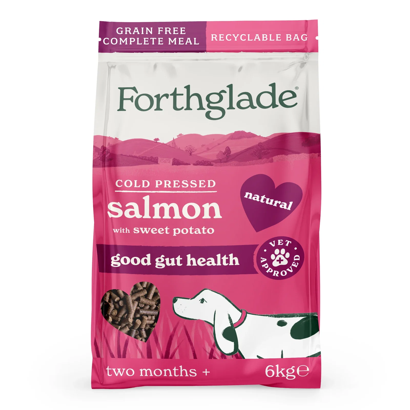 Image of Cold Pressed Salmon Dry Dog Food