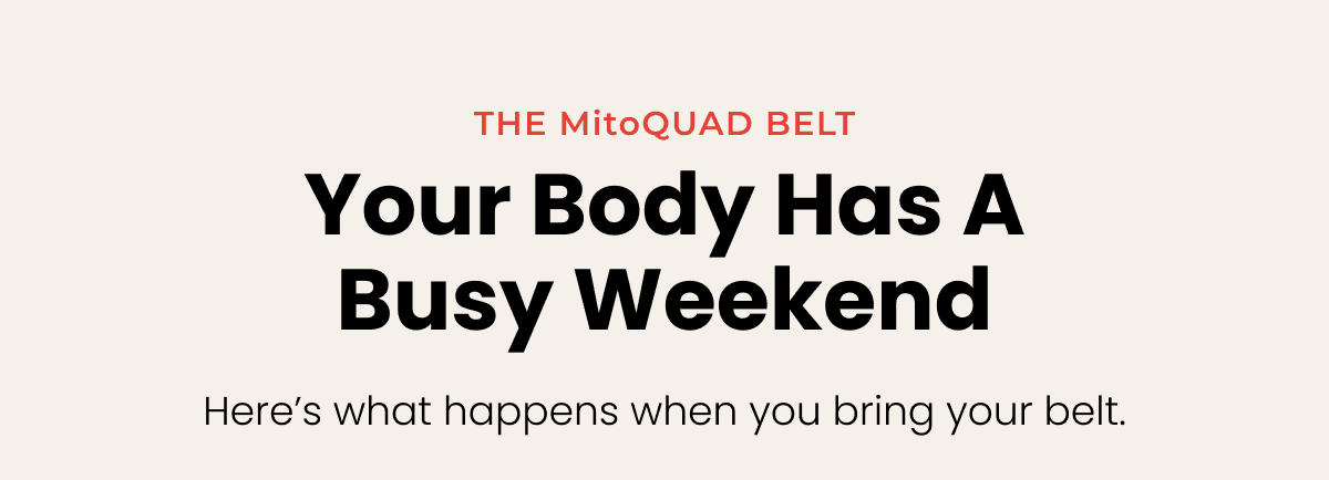 The MitoQUAD Belt: Your Body Has A Busy Weekend. Here's what happens when you bring your belt.