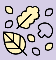 Fresh ingredients