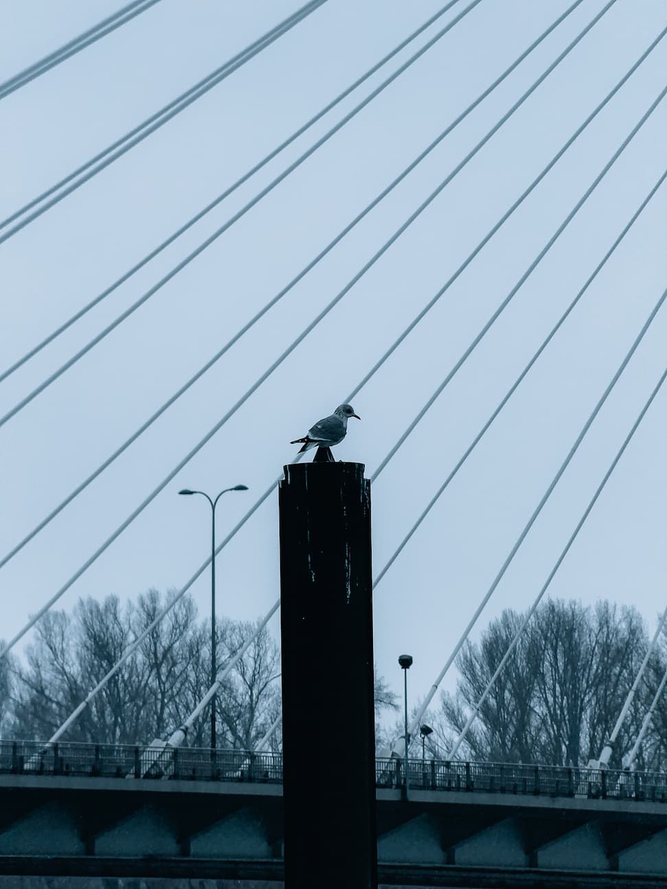 Shot on iPhone Image