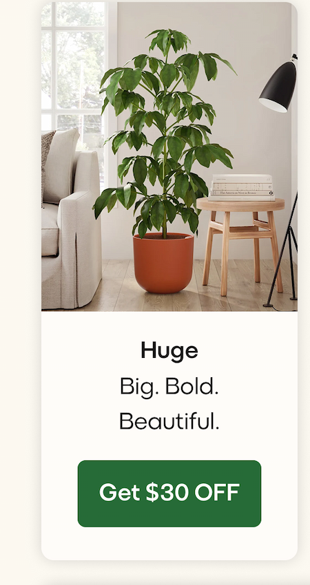 Huge
