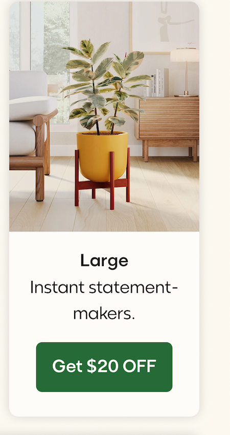 Large