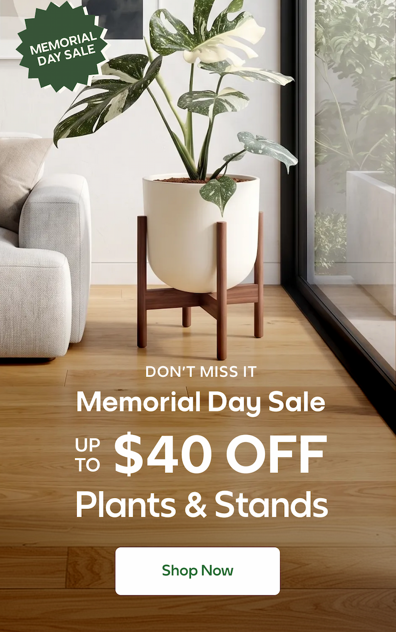 Up to $40 OFF Plants & Stands