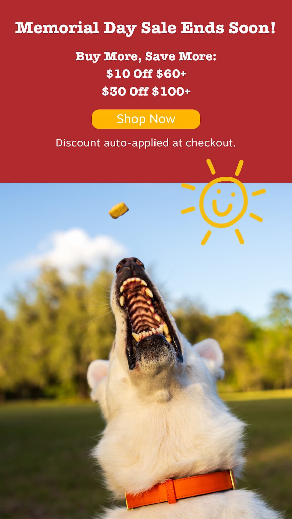 Memorial Day Sale Ends Soon! Buy More, Save More: $10 Off $60+ or $30 Off $100+. Shop now! Discount auto-applied at checkout.
