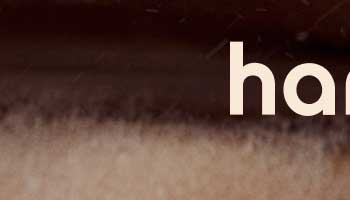 hanni