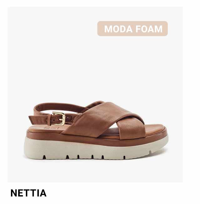 NETTIA