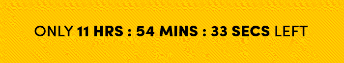 Countdown timer for Big Holiday Flash Sale.