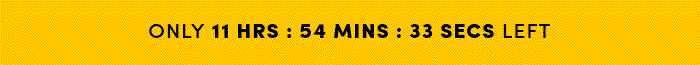 Countdown timer for Big Holiday Flash Sale.