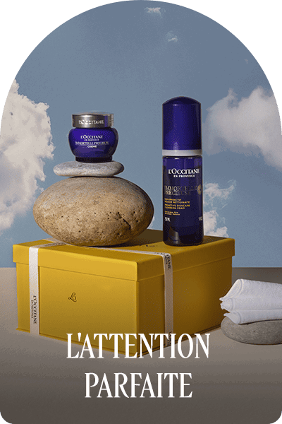 L'attention parfaite