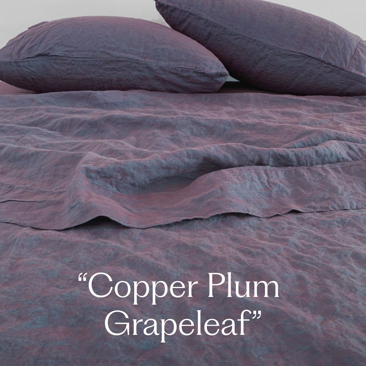 “Copper Plum Grapeleaf”