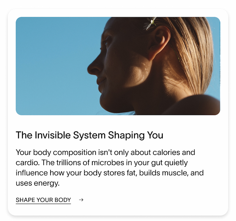 The Invisible System Shaping You
