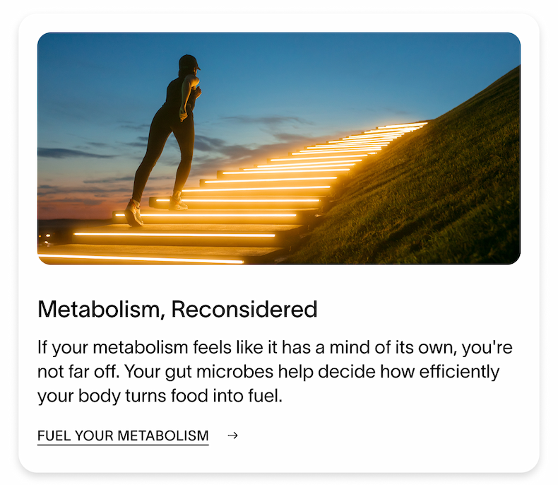 Metabolism, Reconsidered