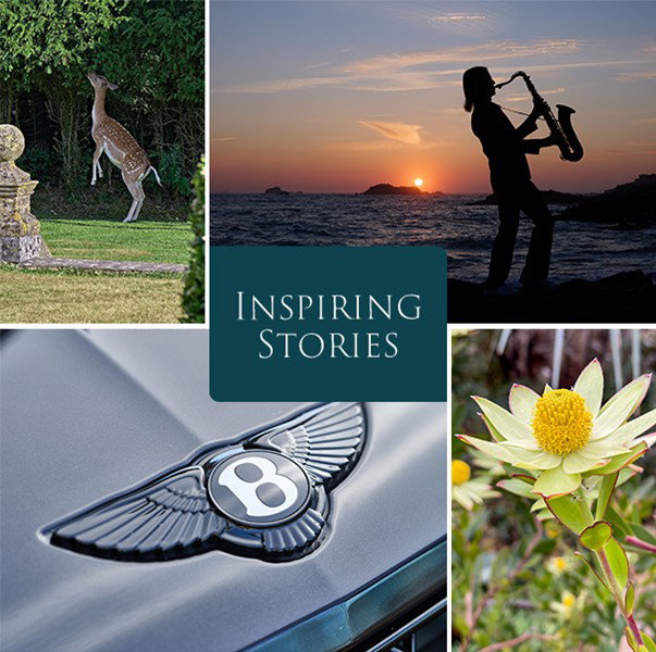 We are delighted to share something created especially for you